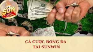 Cá Cược Bóng Đá