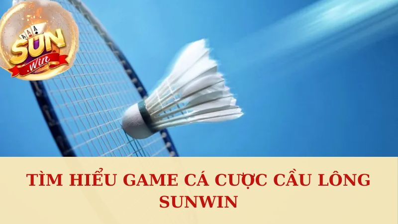 Giới thiệu về game cá cược cầu lông Sunwin