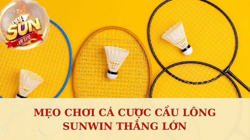 Kinh nghiệm cá độ thắng đậm cho bet thủ